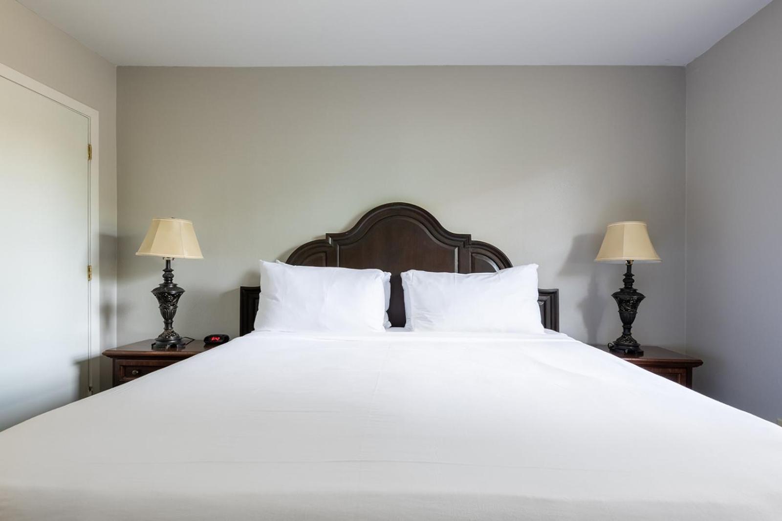 French Quarter Suites Hotel ニューオーリンズ エクステリア 写真
