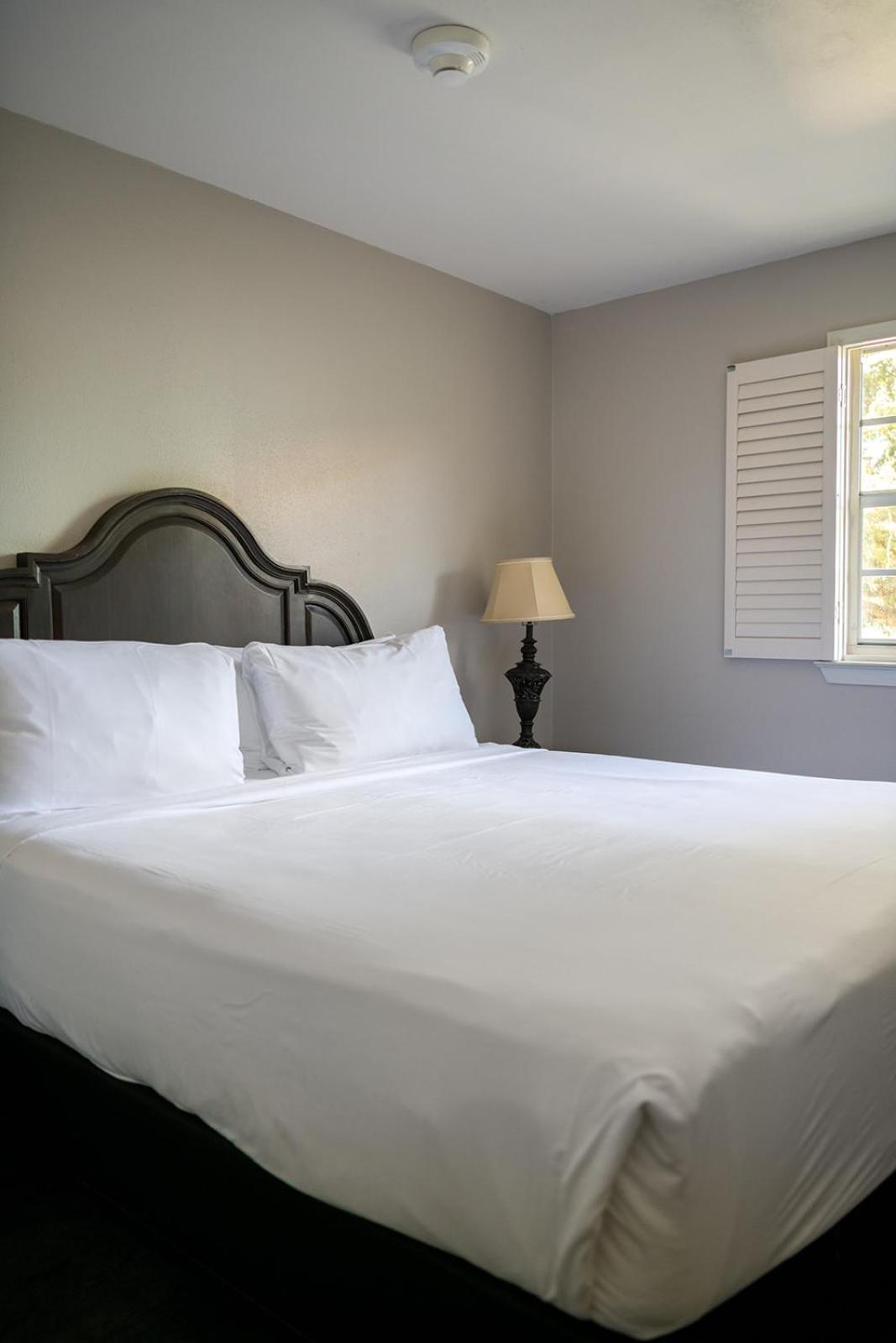 French Quarter Suites Hotel ニューオーリンズ エクステリア 写真