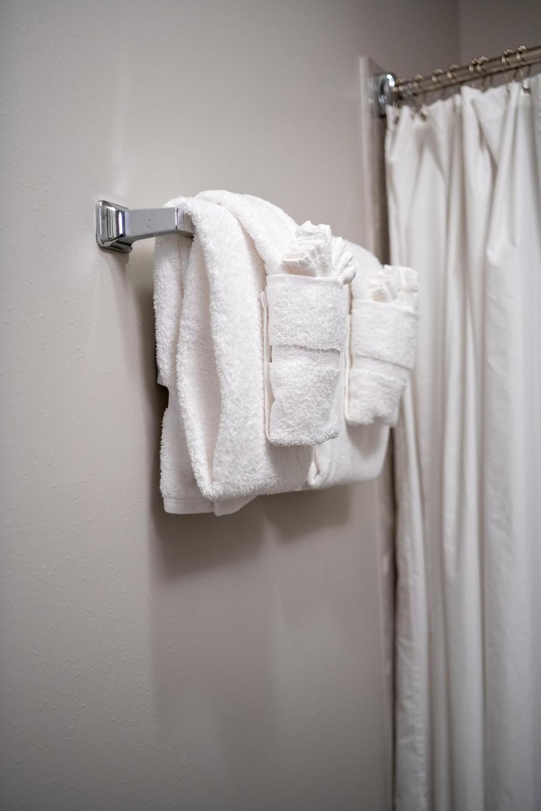 French Quarter Suites Hotel ニューオーリンズ エクステリア 写真